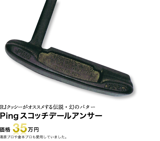 Ping スコッチデールアンサー